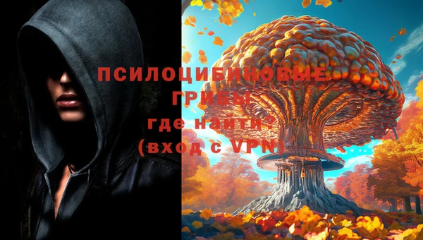 ГАЛЛЮЦИНОГЕННЫЕ ГРИБЫ Каменногорск