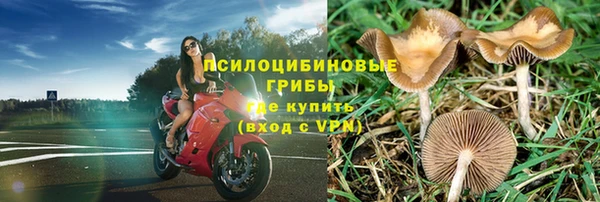 не бодяженный Каменка