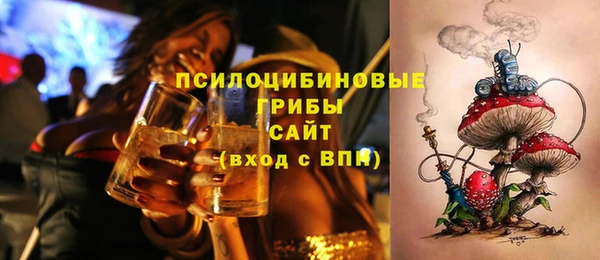 не бодяженный Каменка