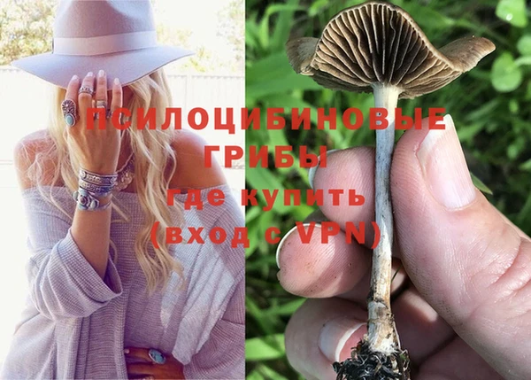 ГАЛЛЮЦИНОГЕННЫЕ ГРИБЫ Каменногорск