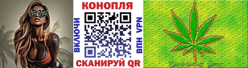 Купить где  Дегтярск  Конопля гибрид 